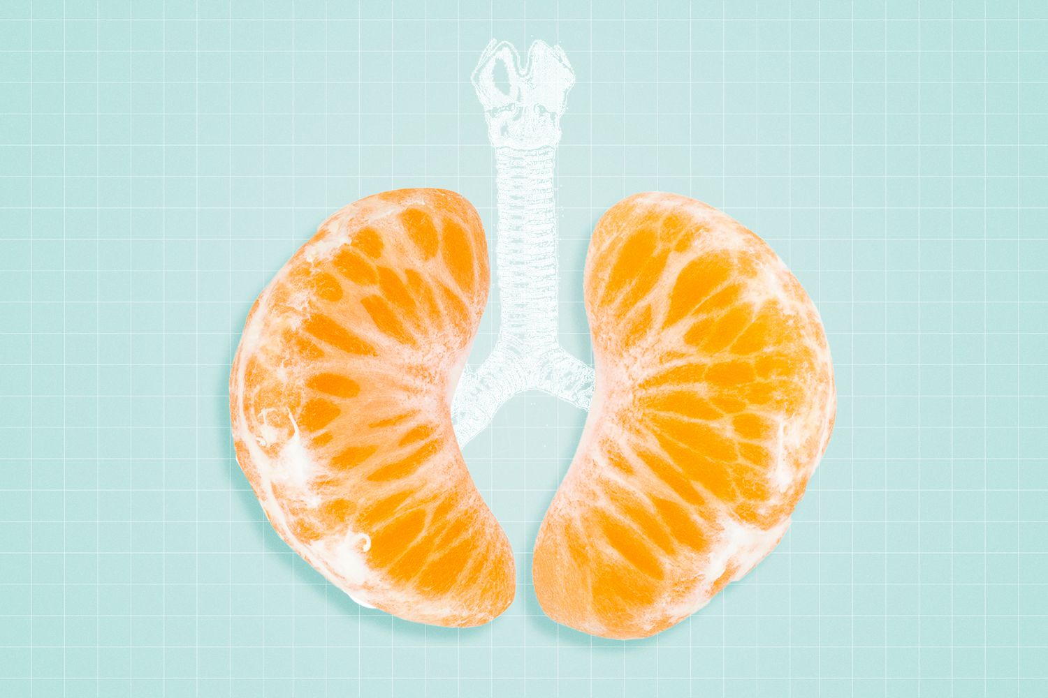 5 Nutrisi Penting untuk Mendukung Kesehatan Pernapasan