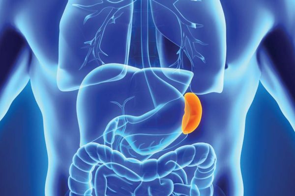 7 Cara Mengurangi Racun di Limpa Tanpa Obat 7 Cara Mengurangi Racun di Limpa Tanpa Obat