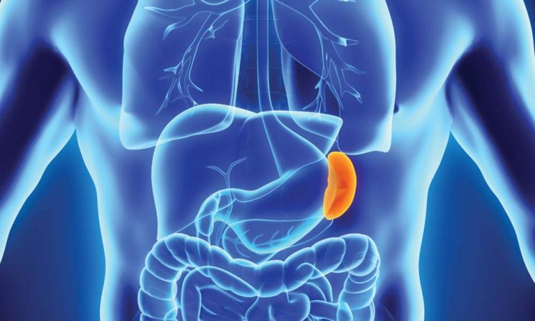 7 Cara Mengurangi Racun di Limpa Tanpa Obat